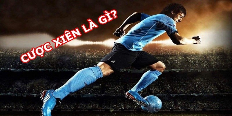 Tham khảo kỹ thông tin về các trận đấu sẽ đánh xiên