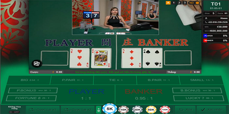 Trên thị trường có rất nhiều công cụ hỗ trợ dự đoán Baccarat