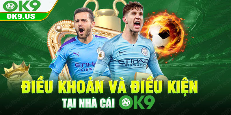 Điều Khoản Và Điều Kiện Tham Gia Cá Cược OK9 Chi Tiết